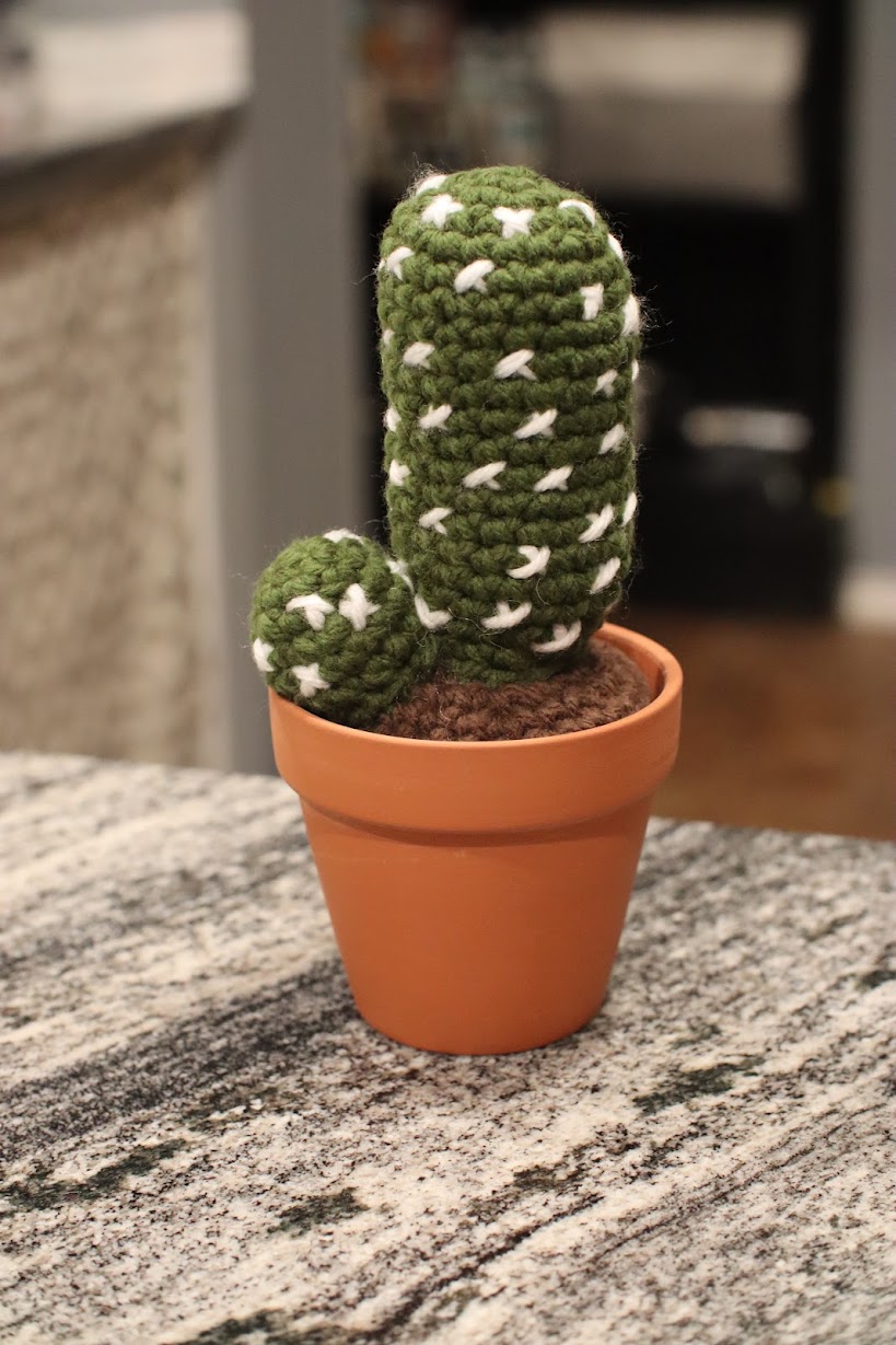 Crocheted cactus duo