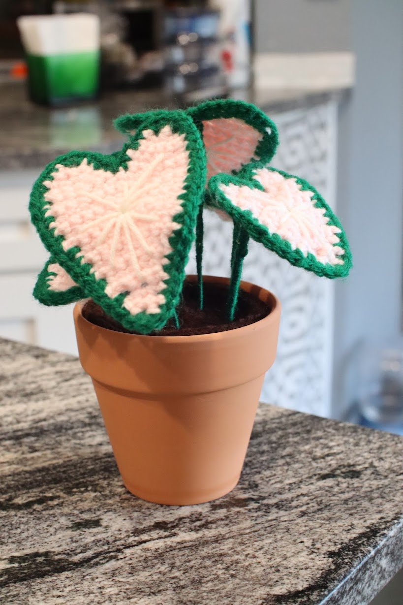 Crocheted caladium plant