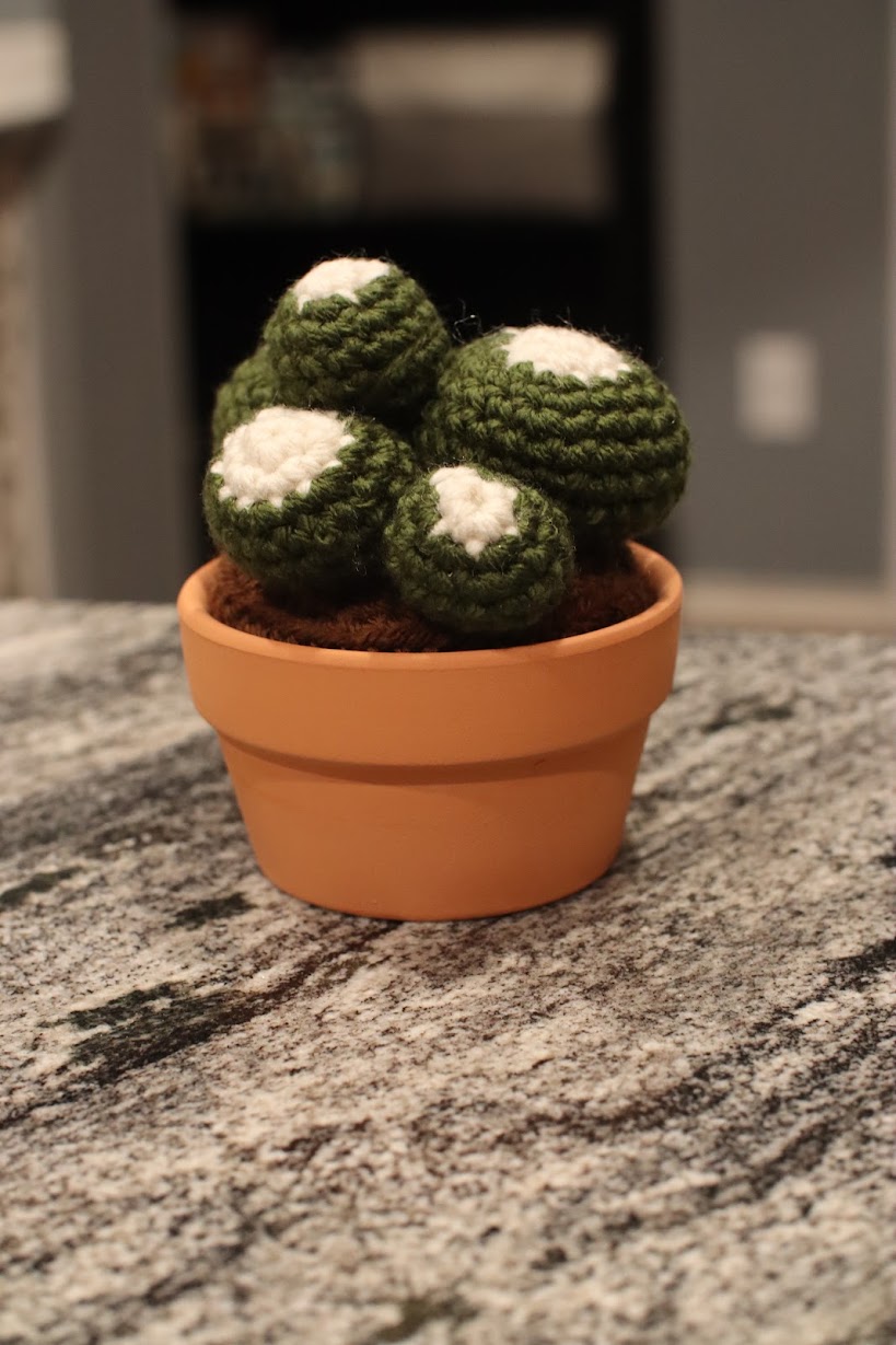 Crocheted cactus cluster