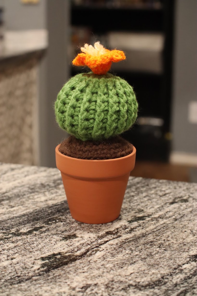 Crocheted barrel cactus